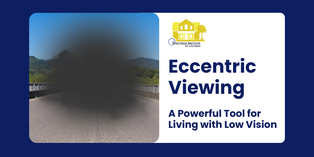On the left is an image of a road with mountains in the background and black blur in center. On right is the text Eccentric Viewing A Powerful Tool for Living with Low Vision
