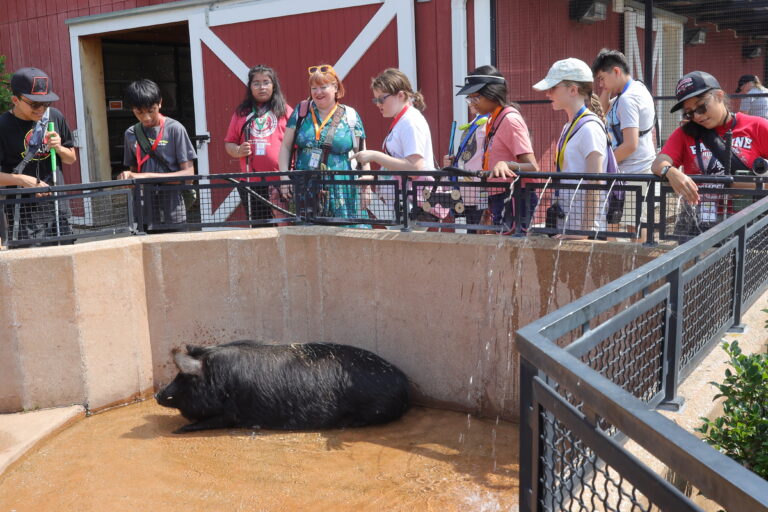 A Trip to Cosley Zoo with Grandma Martyl's Low Vision Day Camp 17 a group standing above a Guinea Hog enclosure.